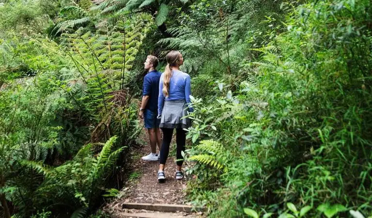 3 Day Great Ocean Road + Grampians Tour From Melbourne | Wildlife Tours Australia