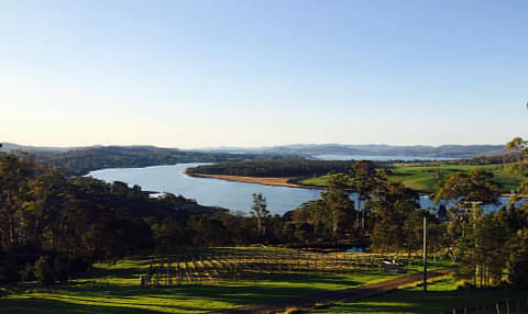 Tamar Valley Discovery Wine Tour
