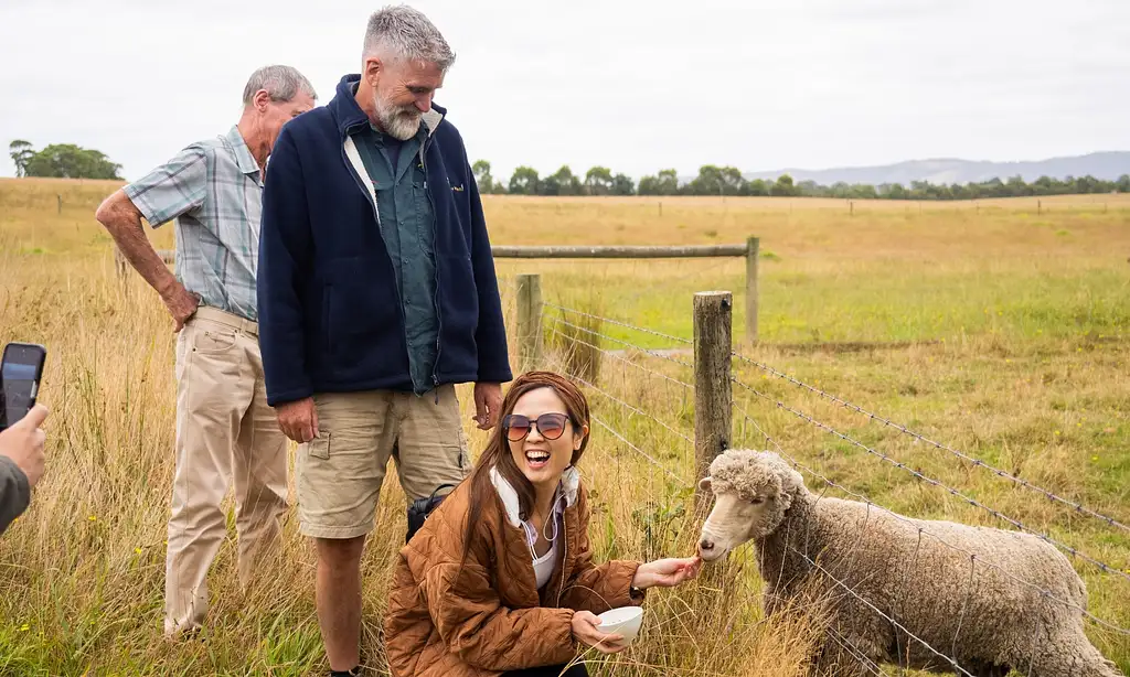 Yarra Valley Grazing Tour | From Melbourne