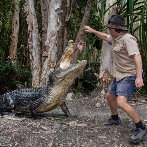 Hartley's Crocodile Adventures Admission