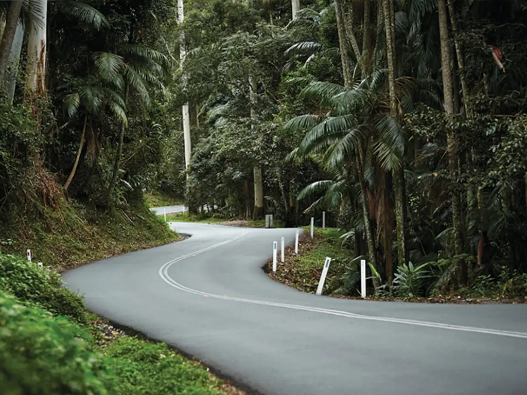Mt Tamborine Rainforest Skywalk + Hop on Hop Off Pass from Gold Coast