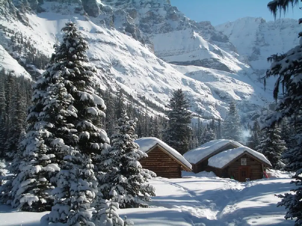 Lake Louise, Yoho National Park And Moraine Lake Tour | From Calgary