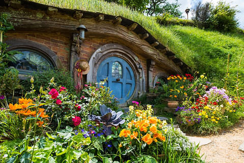 Hobbiton movie set tour adventure