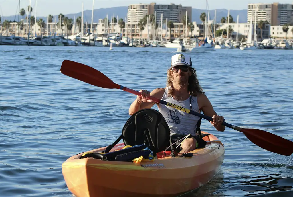 Marina Del Rey Kayak And Paddleboard Tour With Sea Lions