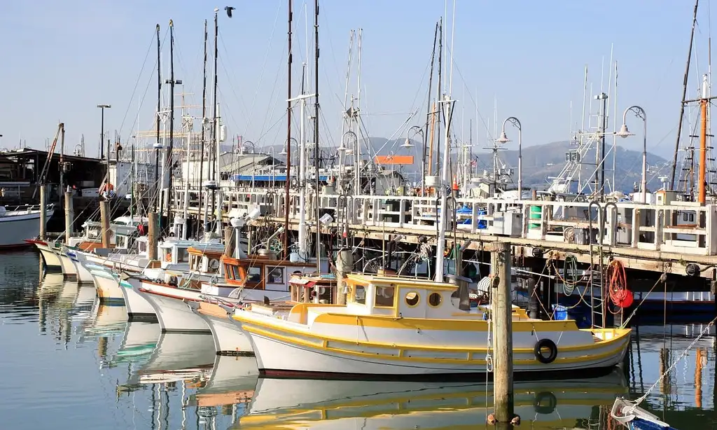 Muir Woods And Sausalito Tour With Bay Cruise
