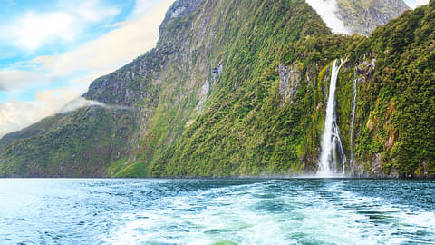 Premium Milford Sound Small-Group Tour, Cruise & Picnic Lunch from Queenstown