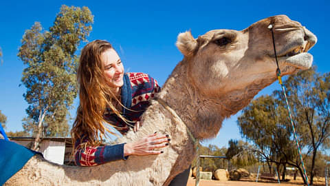 alice springs camel rides