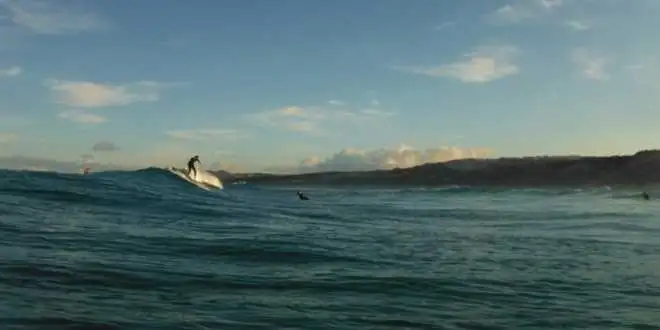 Ultimate Surf Tour package - Ngunguru, New Zealand