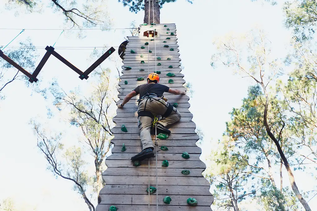 Forest Adventures Park 2.5 Hours Entry