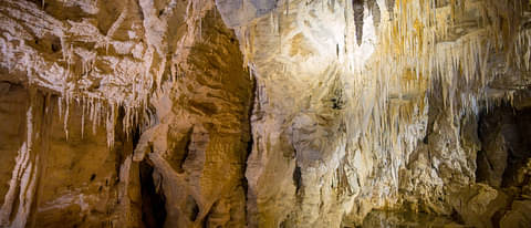 Waitomo