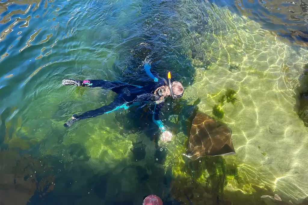 Irukandji Entry Pass with Sting-ray snorkel included