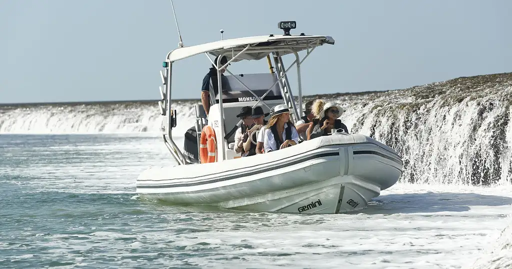 Waterfall Reef Sea Safari | From Cygnet Bay