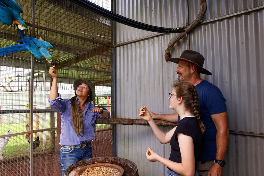 Guided Horse Riding with Petting Zoo entry