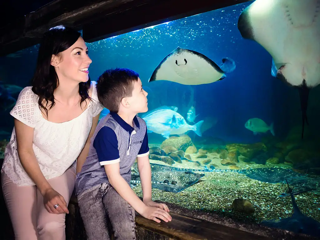Sea Life London Aquarium | Standard Entry (Off Peak)