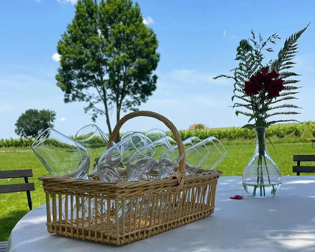 Morning Wine Tour of the Médoc