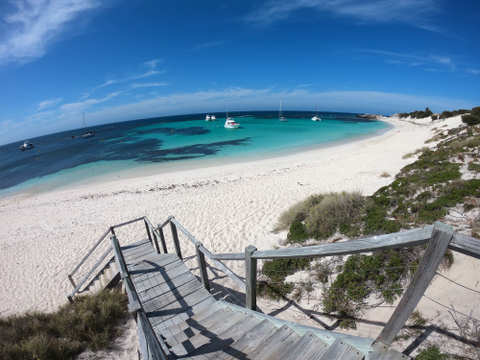 Fremantle to Rottnest Island Lunch Cruise Special