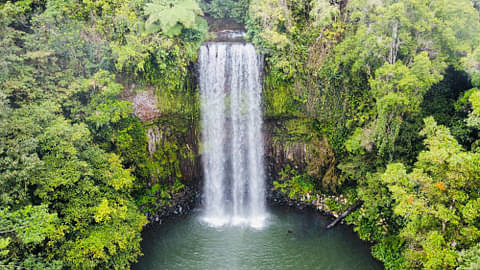 Tropical North Queensland