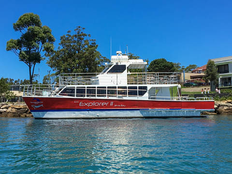 jervis bay whale watching