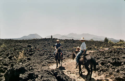 8 Day Tour - Mexico: Tales of Michoacan