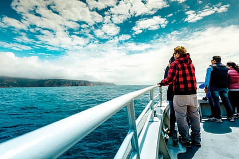 Wineglass Bay Cruise