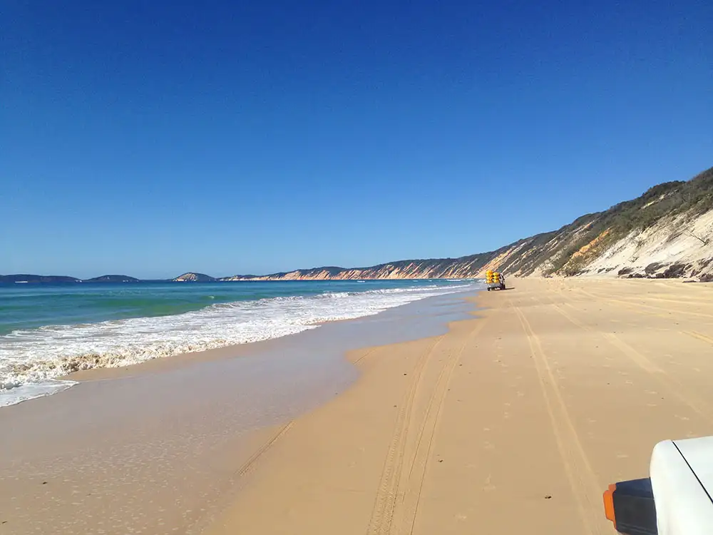 Dolphin View Kayak Tour + Surf Lesson with 4WD Beach Adventure from Noosa