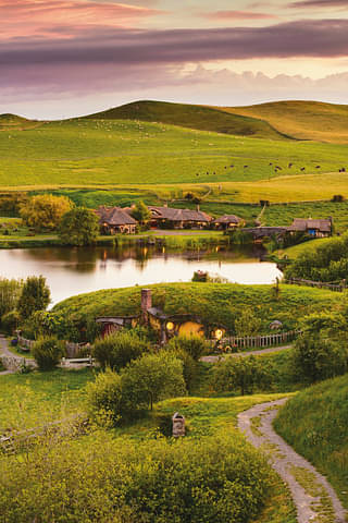 Hobbiton movie set tour deals