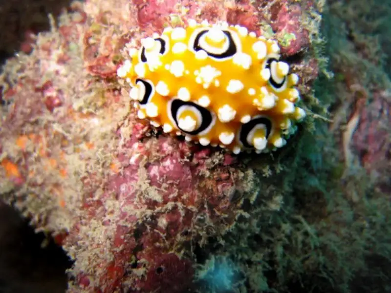 3 Day 3 Night Sail & Snorkel Adventures | on Powerplay