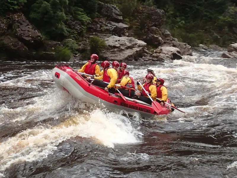 King River Gorge Raft and Steam Experience