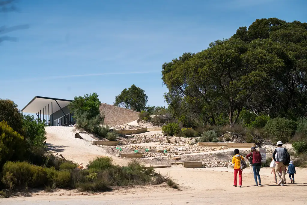 Kangaroo Island Koala Walking Tour