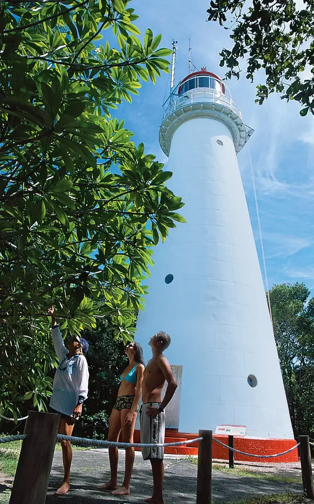 Full Day Low Isles Cruise