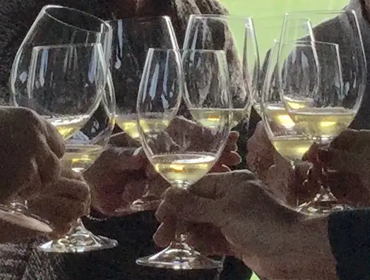 McLaren Vale Full Day Wine Tour