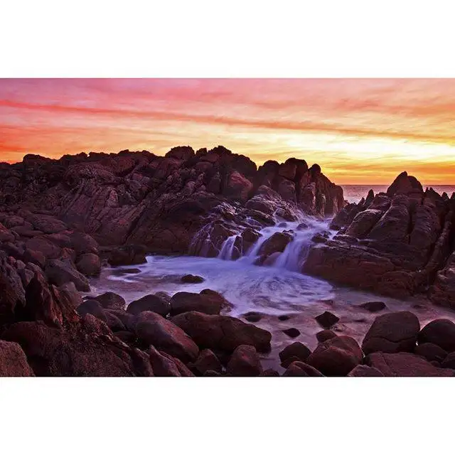 Premium Full Day Wine Tour - Margaret River