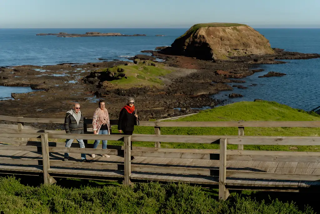 Phillip Island Penguin Parade & Churchill Island Farm Bus Tour