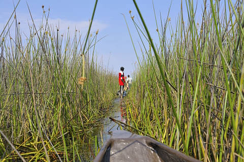 Okavango delta south africa