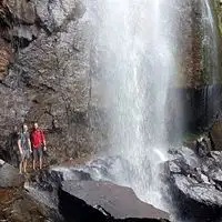 Springbrook Full Day Tour from Brisbane