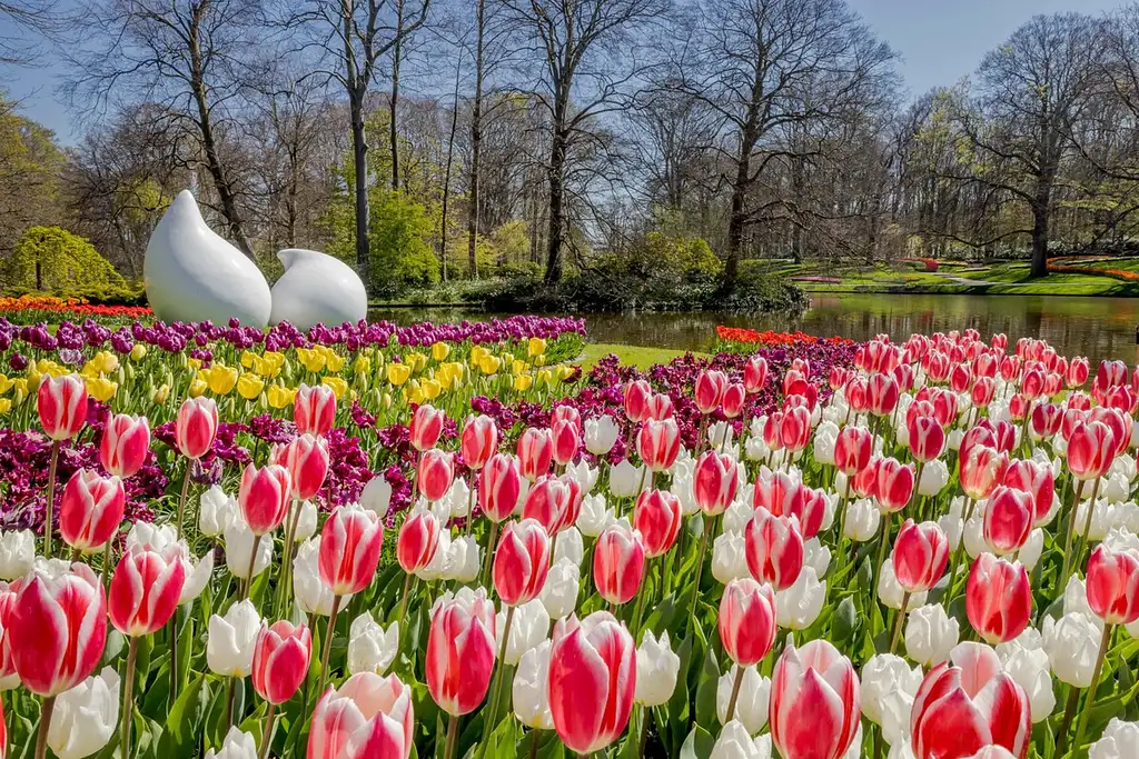 Go City Amsterdam: Explorer Pass