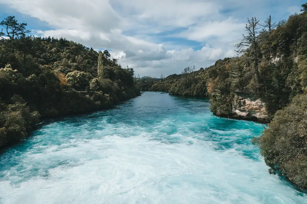 8 Day Pukeko Tour | Auckland to Wellington | Stray