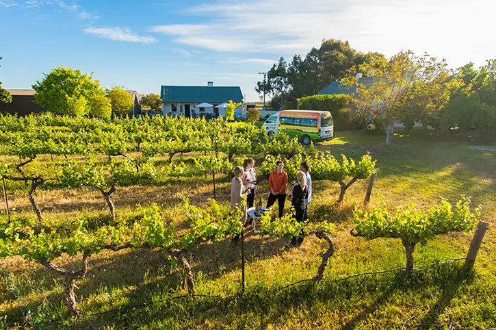 Taste the Barossa - Barossa Valley Premium Wine Tour with Lunch from Adelaide