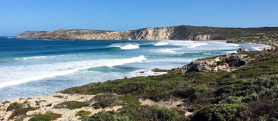 Scenic Nature & Wildlife Tour | From Kingscote