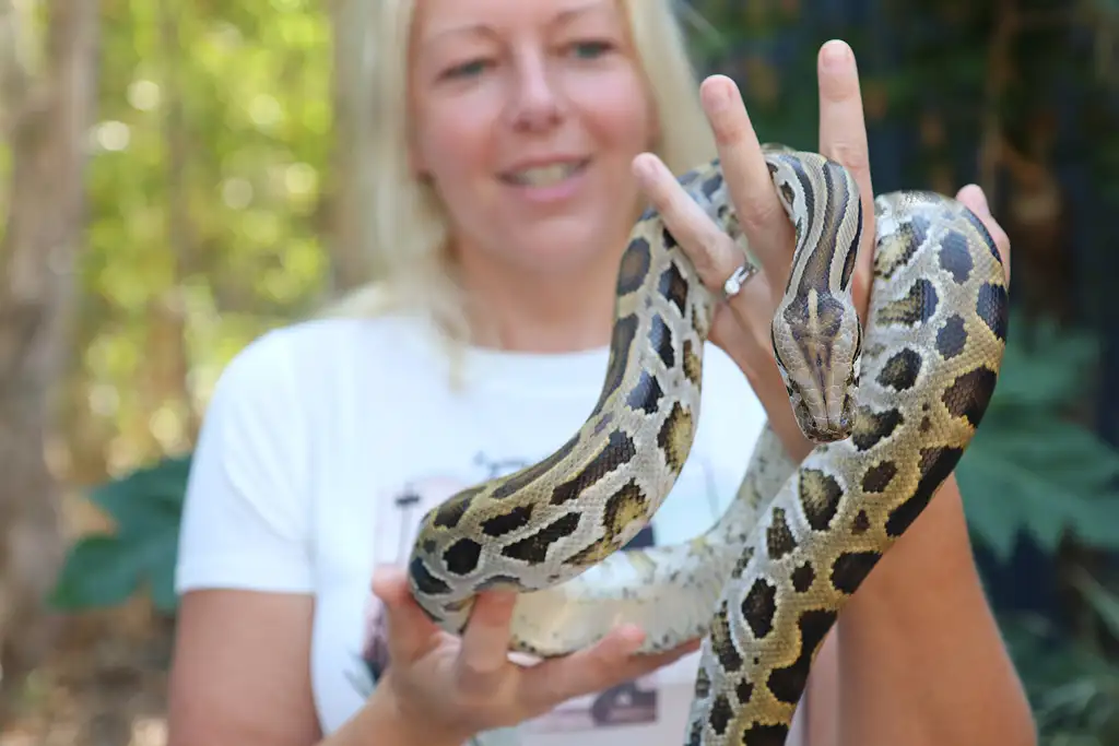 Hartley's Crocodile Adventures | Reptastic 5