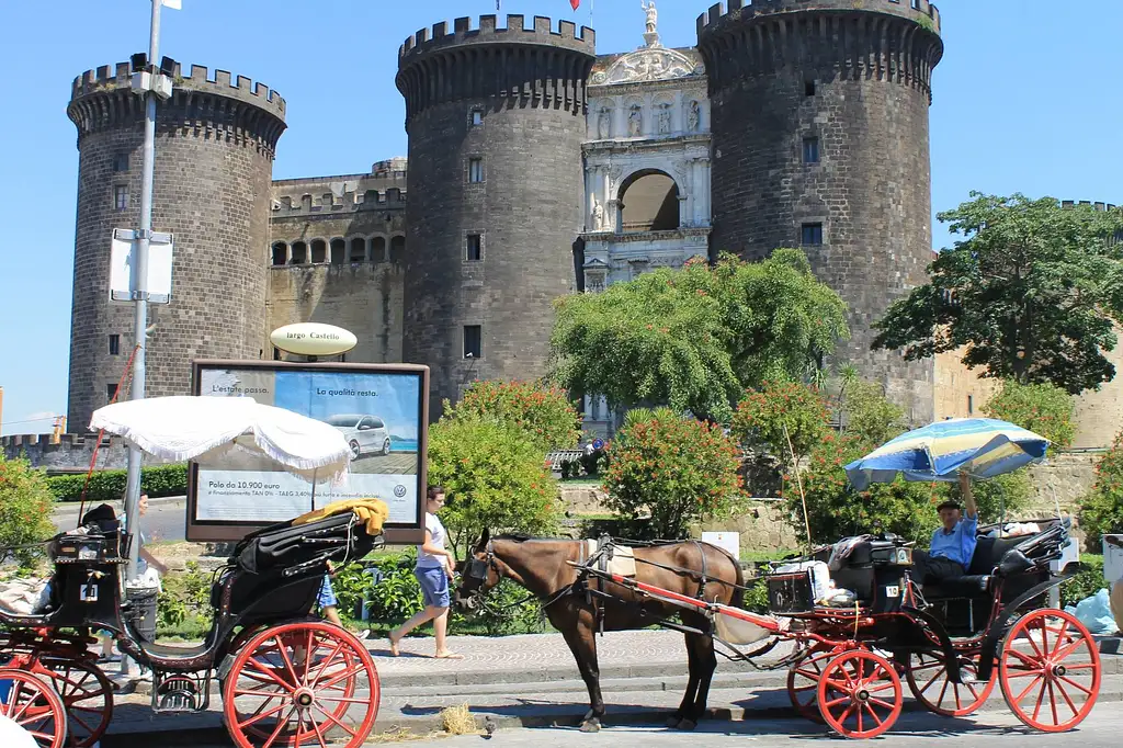 Explore Pisa