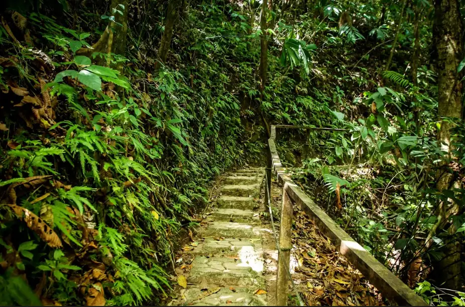 Rainmaker Hiking Tour
