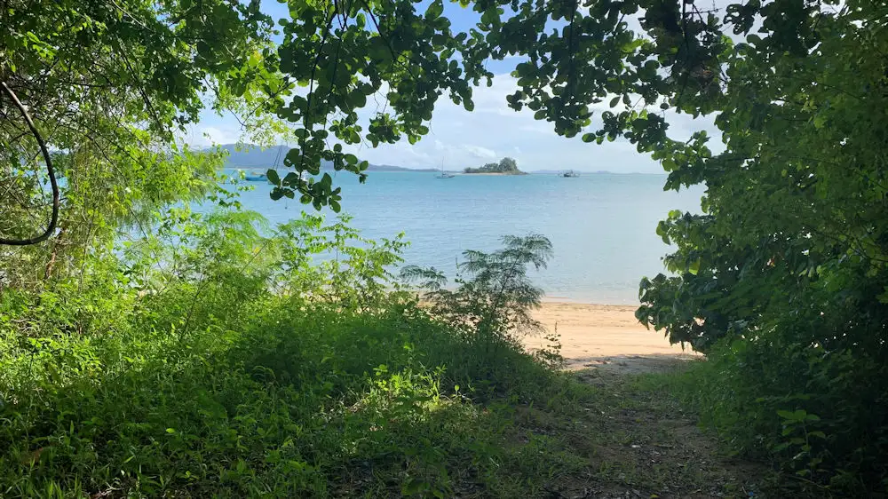 Dunk & Secret Cassowary Islands Day Trip | Departing Mission Beach