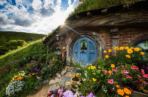 The Hobbiton movie set tour promo code
