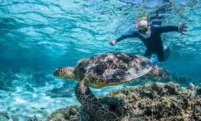 7 Day Perth to Exmouth Explorer & Ningaloo Reef