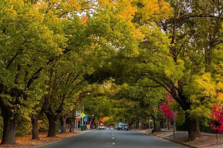 Half Day Adelaide City, Mt Lofty & Hahndorf Tour