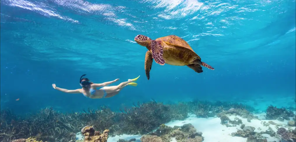 7 Day Perth to Ningaloo Reef & Return