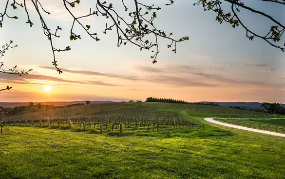 Clare Valley Three-Day Itinerary