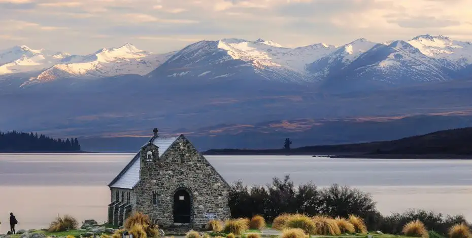 20 Day Tui Tour | Auckland to Christchurch | Stray