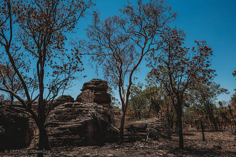 Kakadu Day Tour From Darwin